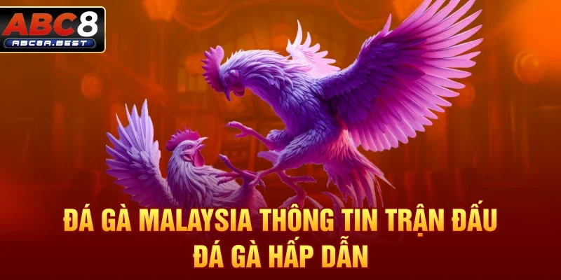 Danh Mục ĐÁ GÀ ABC8 - spin276.best