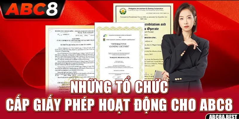 Giấy Phép Hoạt động ABC8: Tổ Chức Và Lý Do Cần Cấp Phép - spin276.best